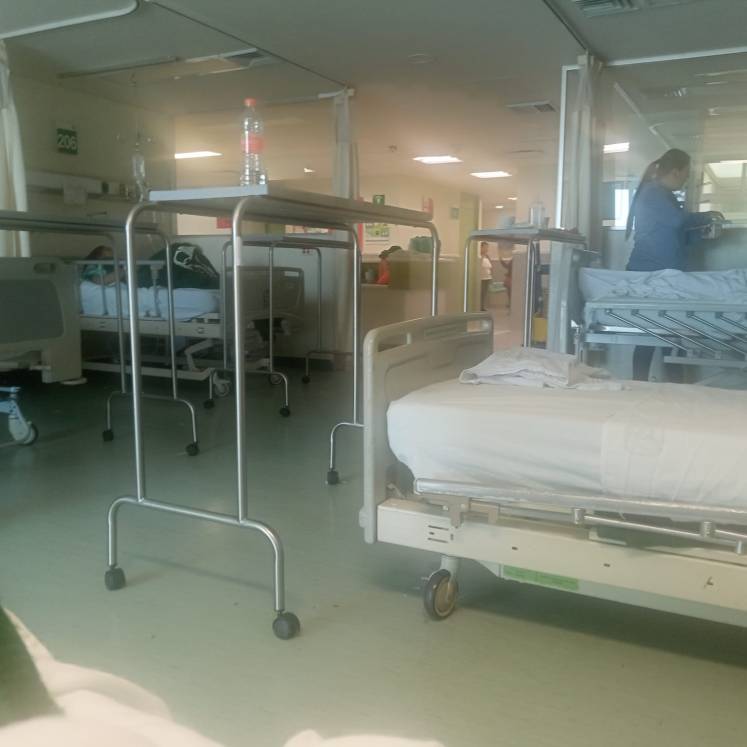Un texto que narra la experiencia personal del autor durante una hospitalización en el IMSS en México, reflexionando sobre el sistema de salud, los contrastes del país y la importancia del cuidado integral del cuerpo y la vida.