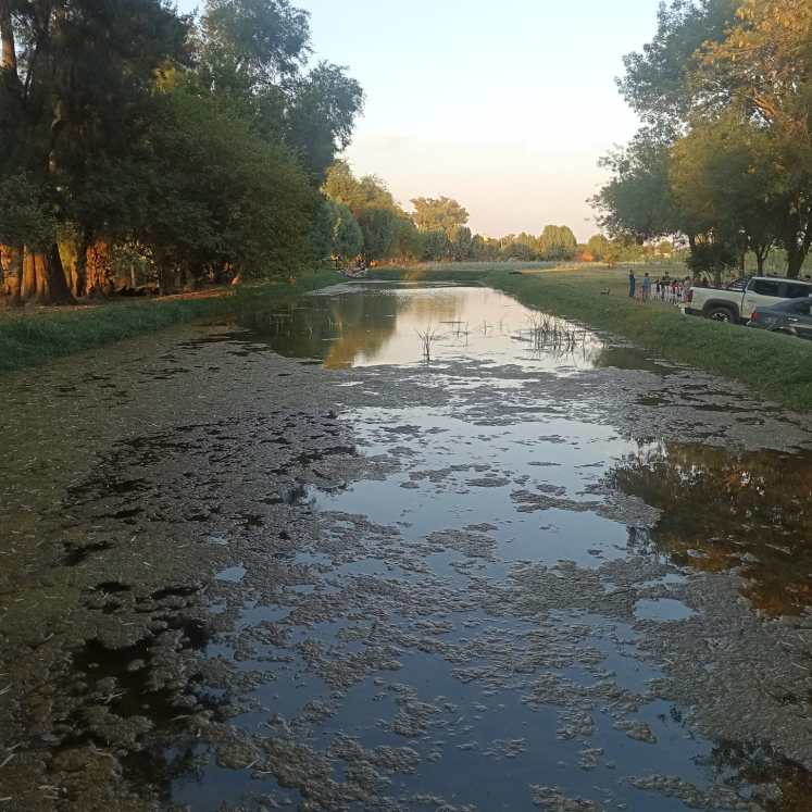 Estanque en el rancho